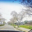 율포로 | 광주 근교 바다 추천/ 아이랑 나들이 율포해수욕장 (보성 가볼만한곳)