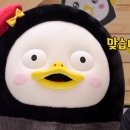 젊음의거리 네이버블로그