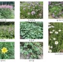 금하환경자원 이미지