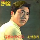 산 비둘기 / 한세일 (1973) 이미지