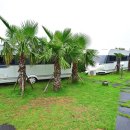 제주플래티늄카라반 이미지