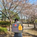 월영동051 | 2022년 일상_(2022.04.08~14)