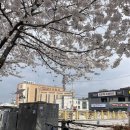 한창의료기 | 발목 꺾임, 인대 늘어남 치료후기. D+4