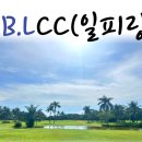 피랑 이미지