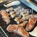 WR(서울특별시 강서구)-[마곡중앙2로]-상-7 | [서울 강서] 마곡 회식 구워주는 룸 고깃집 일념돼지(콜리지프리)