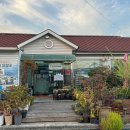 오천수족관 이미지