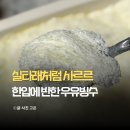 맛타래 | 타래퀸 배달 팥인절미 애플망고 타래빙수 메뉴 맛 비교 후기