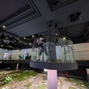 참조은마을 | 우리 아이의 방학 이야기|독산동태권도 The 조은태권도장