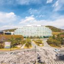 온천단지 가로수길 이미지