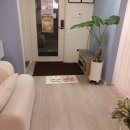 카리스안경콘텍트 이미지