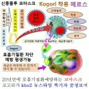 (주)천하 이미지