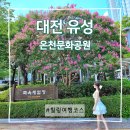 계룡스파텔 | 대전여행코스 추천: 유성온천 족욕체험장 주차 무료이용 후기, 계룡스파텔 황토길, 밤산책