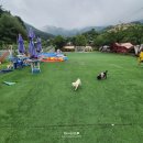 캠플레이 캠핑장 | 가평 캠플레이 캠핑장 계곡도 있어 좋아