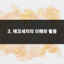 천연(에코)환경 이미지