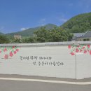 영신마을 | 청도여행 유천문화마을 주차 청도 가볼만한곳
