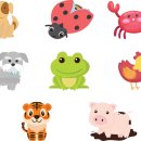 꿀벌 동물병원 이미지