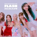 양이펀치 이미지