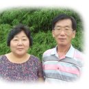 전통이레식품 이미지