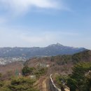 앵봉(좌) 이미지