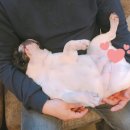 세상 편하개 이미지