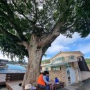 한마을경로당 이미지