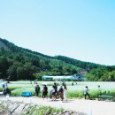 봉평생활체육공원(주차장) | 평창 효석문화제 주차장 메밀꽃 열차 봉평 전통시장 메밀음식 체험 거리공연(ft. 효석 전국 백일장)