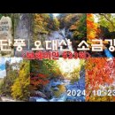 단풍 오대산 소금강(6)＜유투브동영상＞ 이미지