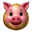 영통중학교 | [5개월아기]뒤집기지옥/명지해솥/솔마루흑염소/모아라면땅