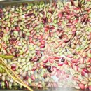 샘터어린이집 이미지