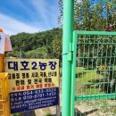 대호2농장 네이버블로그