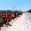 제방도로 이미지