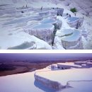 신비한 돈의 세계 이미지