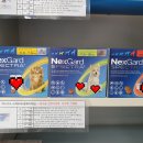 연지약국 이미지