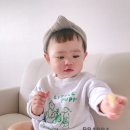 리틀퍼피 이미지