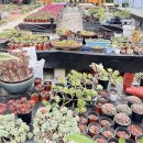 대덕농장1 이미지