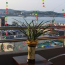 모텔쉬리 이미지