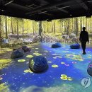 숲사랑(산불방지)홍보관 이미지