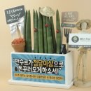 이자카야화분 이미지