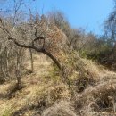 다보부동산중개사무소 이미지