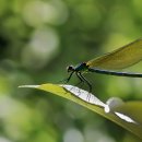 어르신일자리문화센터 이미지