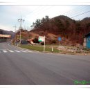 금사보건지소 Daum카페