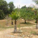 알로큰농장 이미지