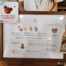 다홍연화 이미지