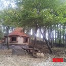 초부리유아숲체험원 이미지