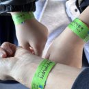 (주)세빈고속관광 | 여행특공대 할인티켓으로 아이와함께하는부산시티투어버스 (노선,예약,후기,팁)