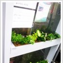 신영농원 이미지