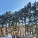 강림초 월현분교장 이미지