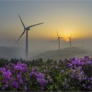 서광목장 이미지