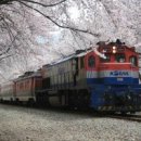 기차여행 이미지