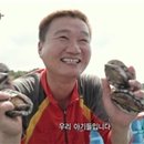 아라온영어조합법인